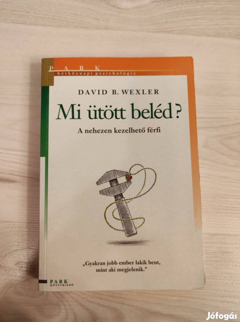 David B. Wexler: Mi ütött beléd? - A nehezen kezelhető férfi c. könyv