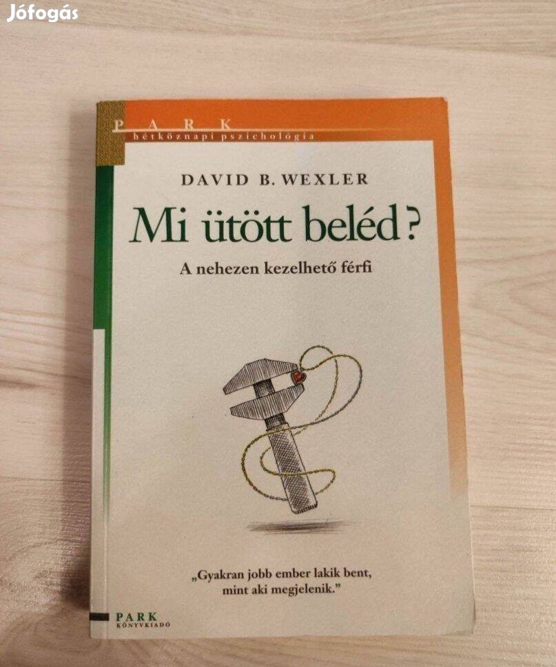 David B. Wexler Mi ütött beléd? - A nehezen kezelhető férfi