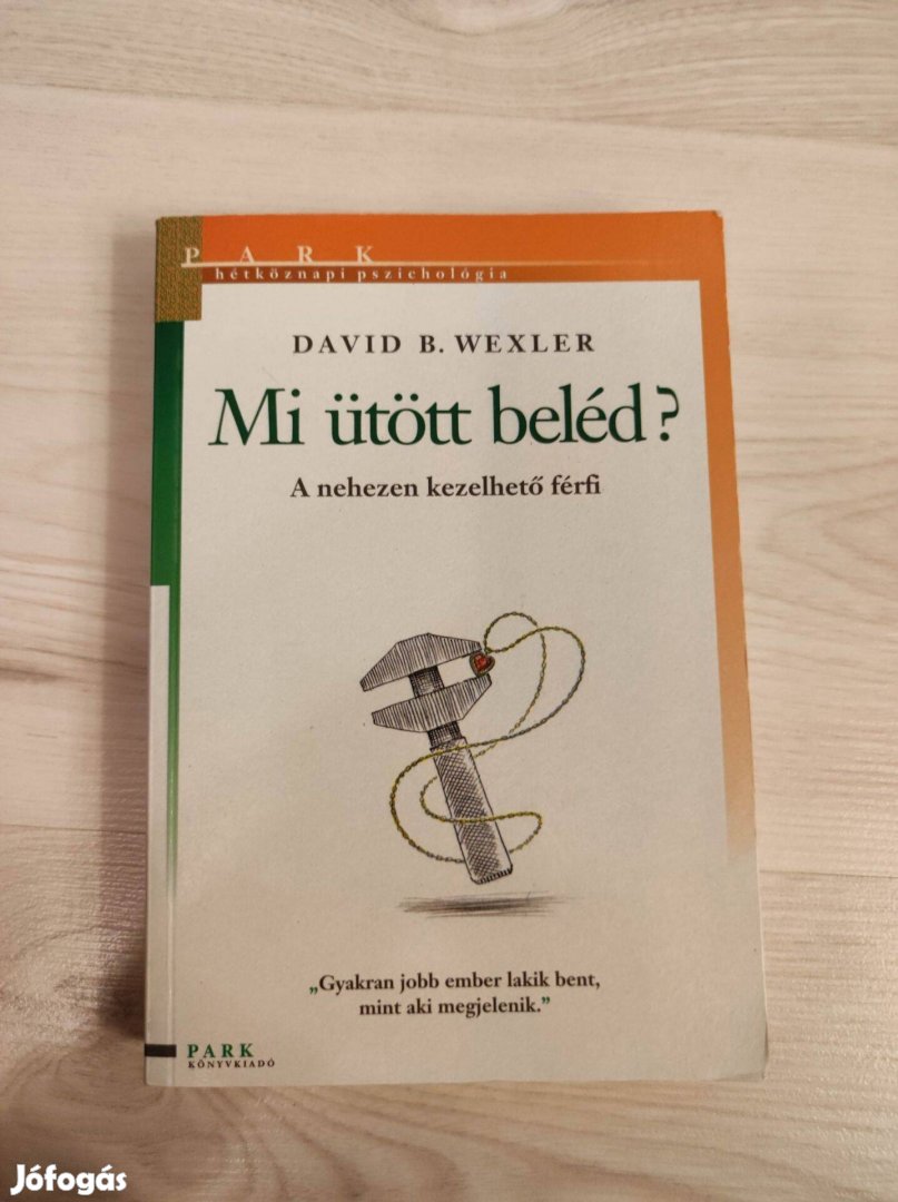 David B. Wexler: Mi ütött beléd? - A nehezen kezelhető férfi c. könyv