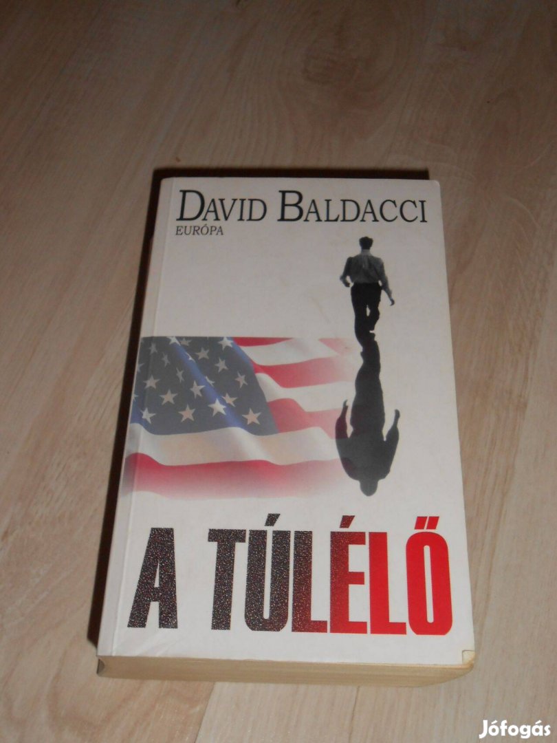 David Baldacci: A túlélő