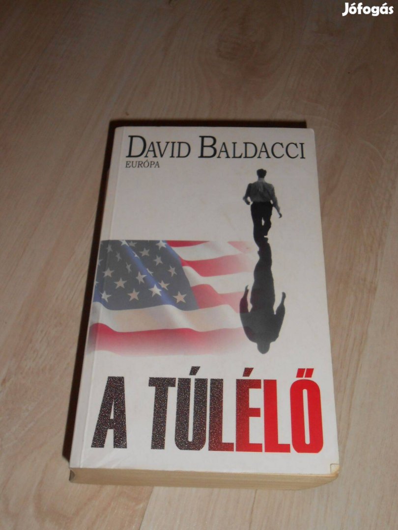 David Baldacci: A túlélő