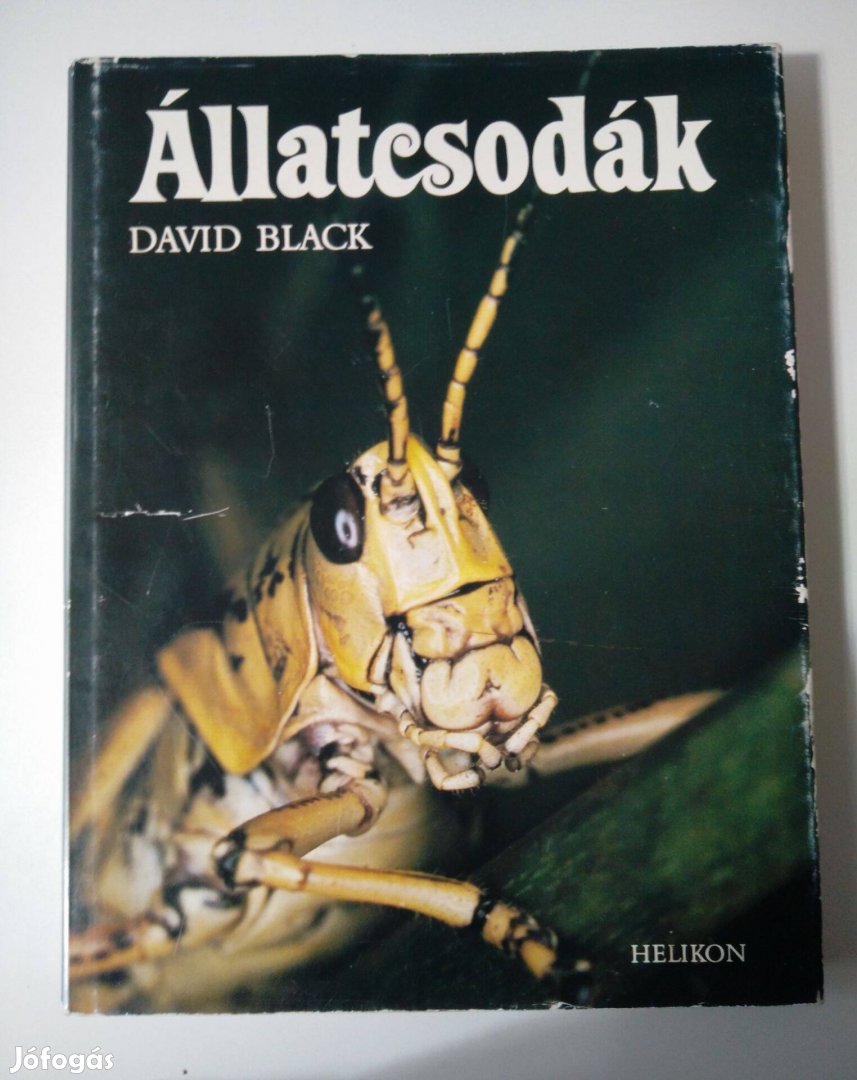 David Black - Állatcsodák