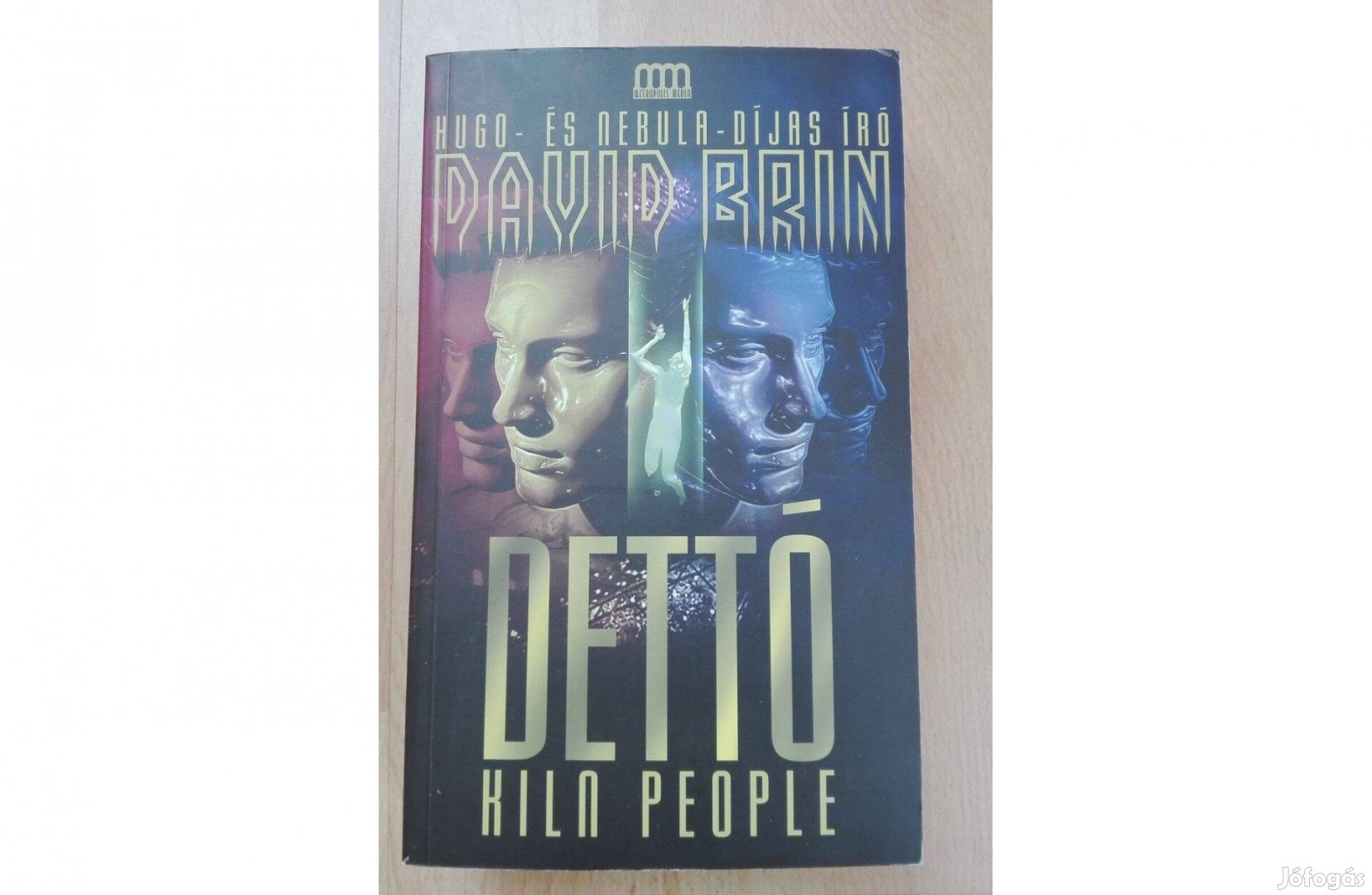 David Brin - Detto