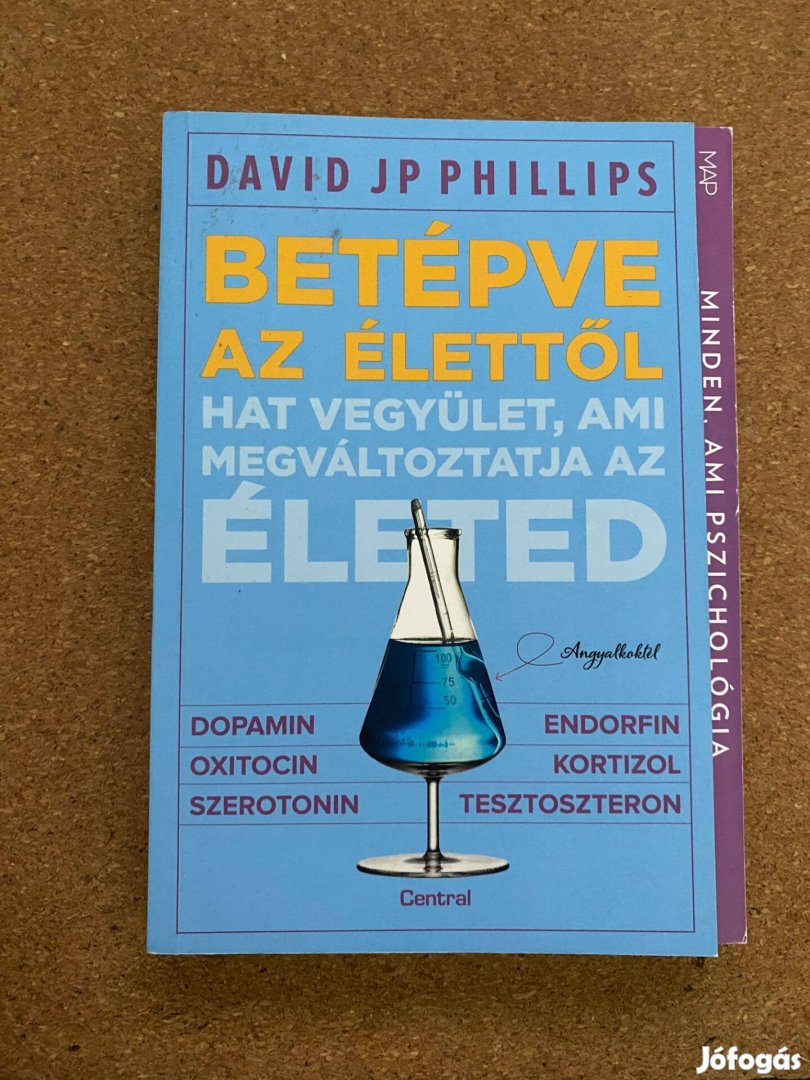 David JP Phillips - Betépve az élettől