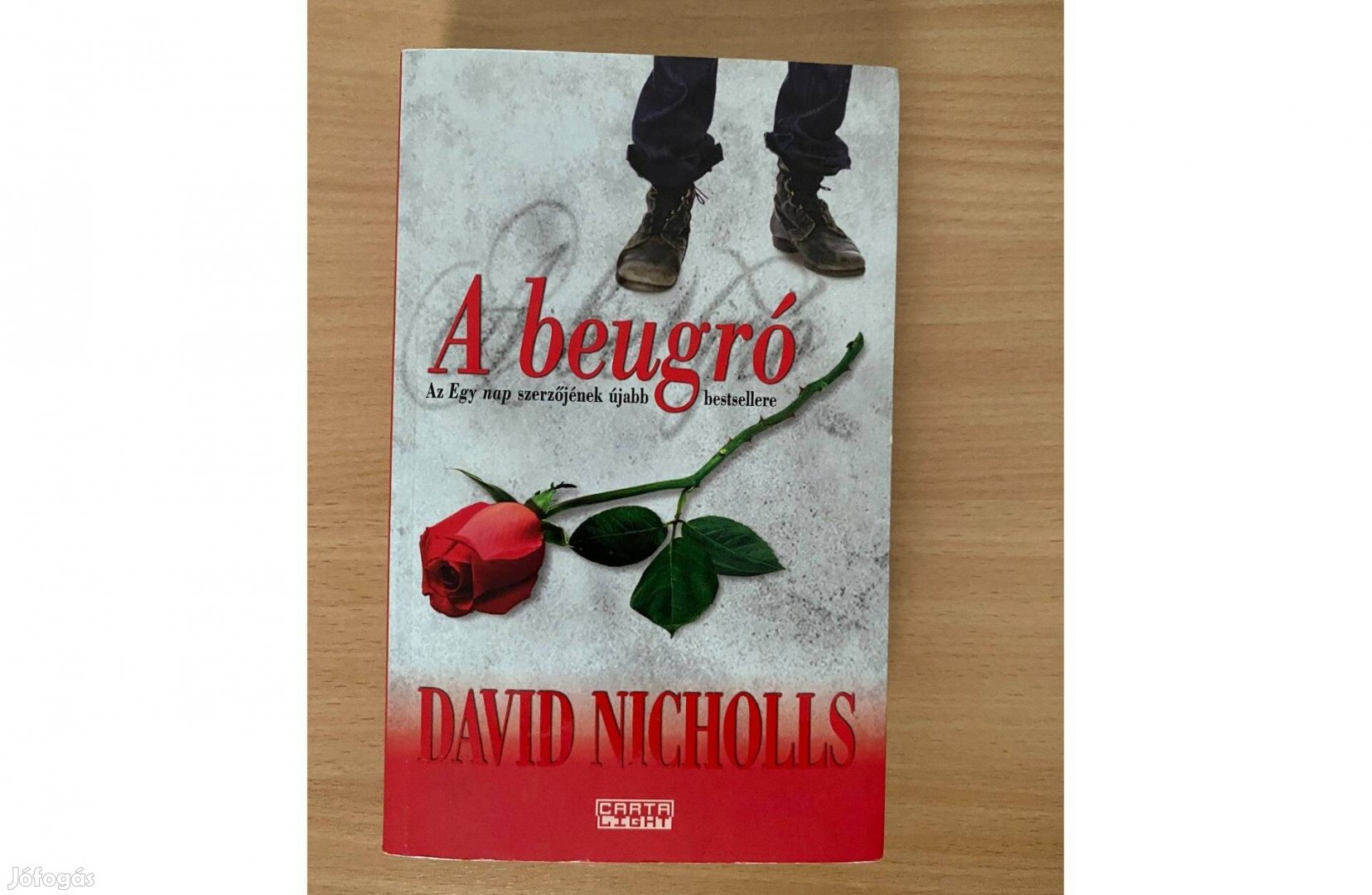 David Nicholls: A beugró című könyv