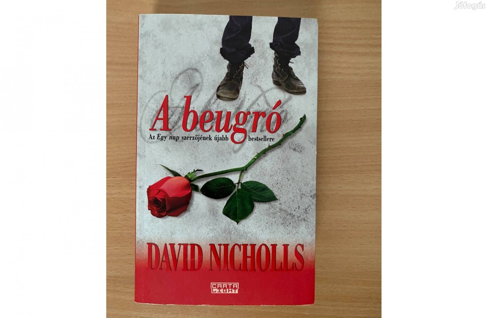 David Nicholls: A beugró című könyv