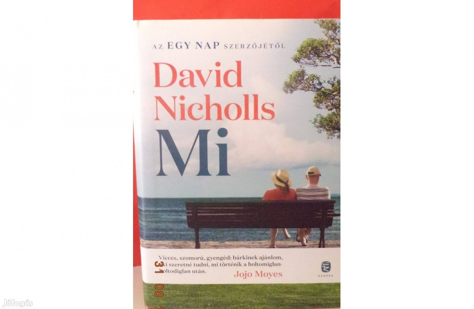 David Nicholls: Mi