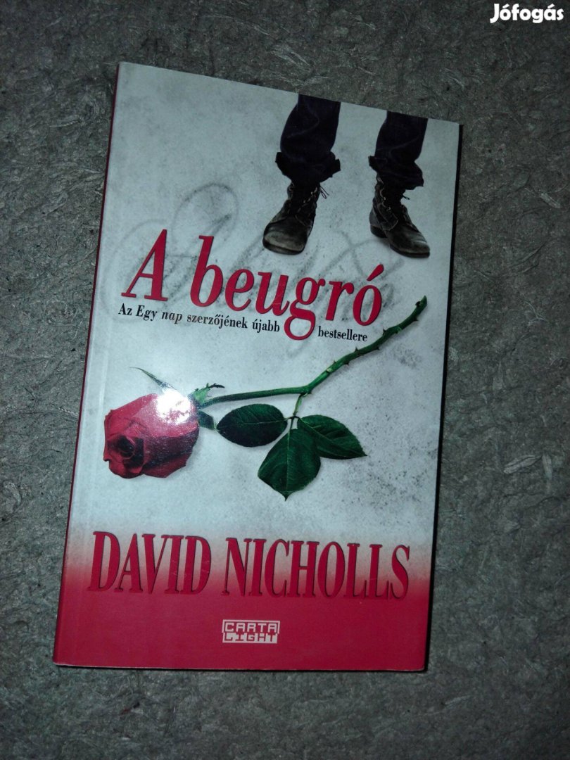 David Nicholls : A beugró