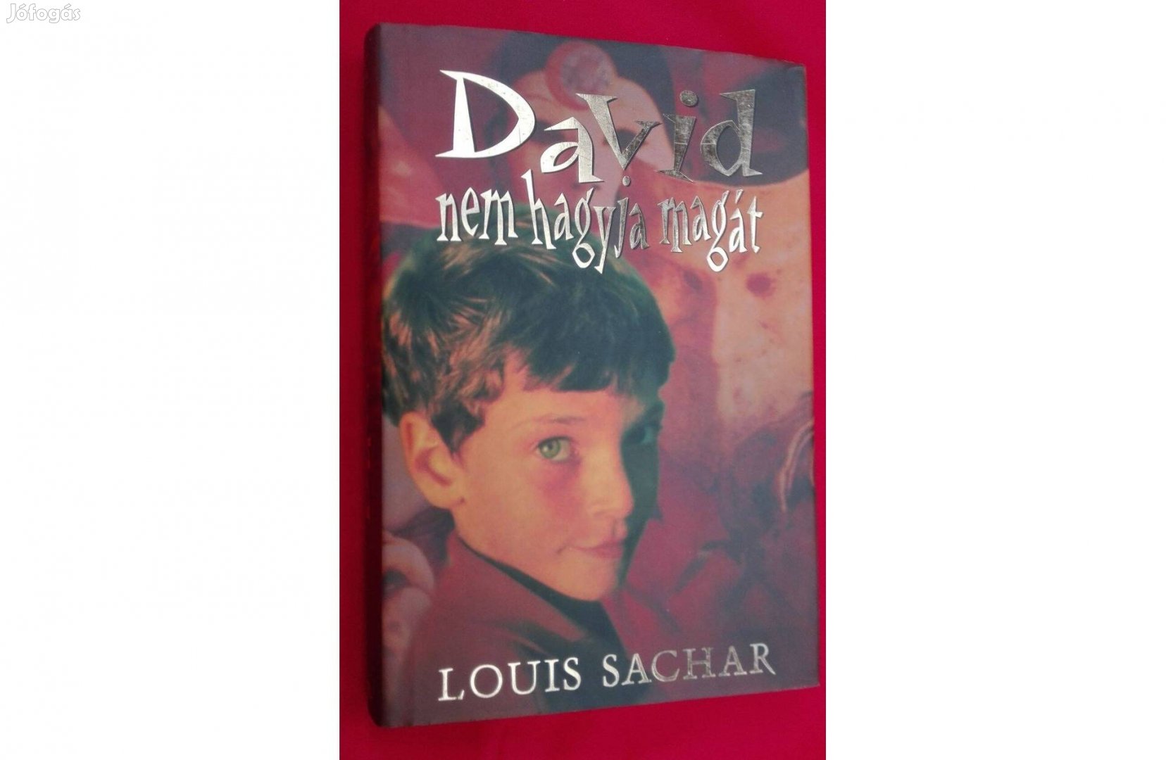 David nem hagyja magát (olvasatlan),ifjúsági regény