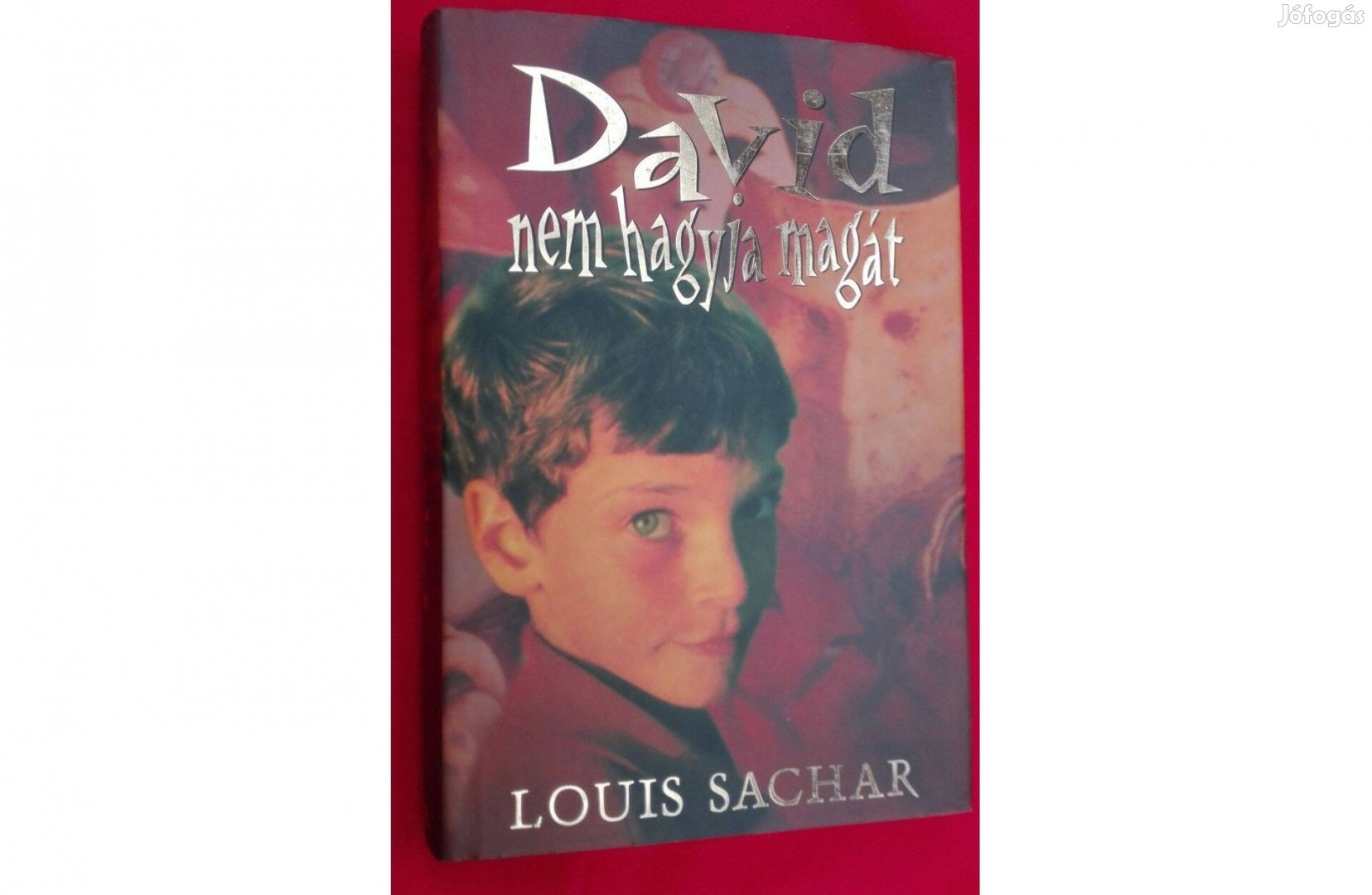 David nem hagyja magát (olvasatlan),ifjúsági regény