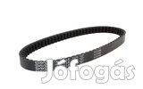 Dayco 669mm 139QMB/QMA 10 colos hajtószíj