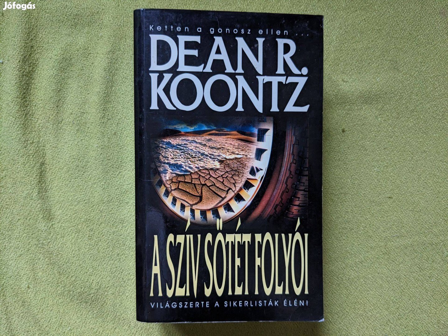 Dean Koontz: A szív sötét folyói