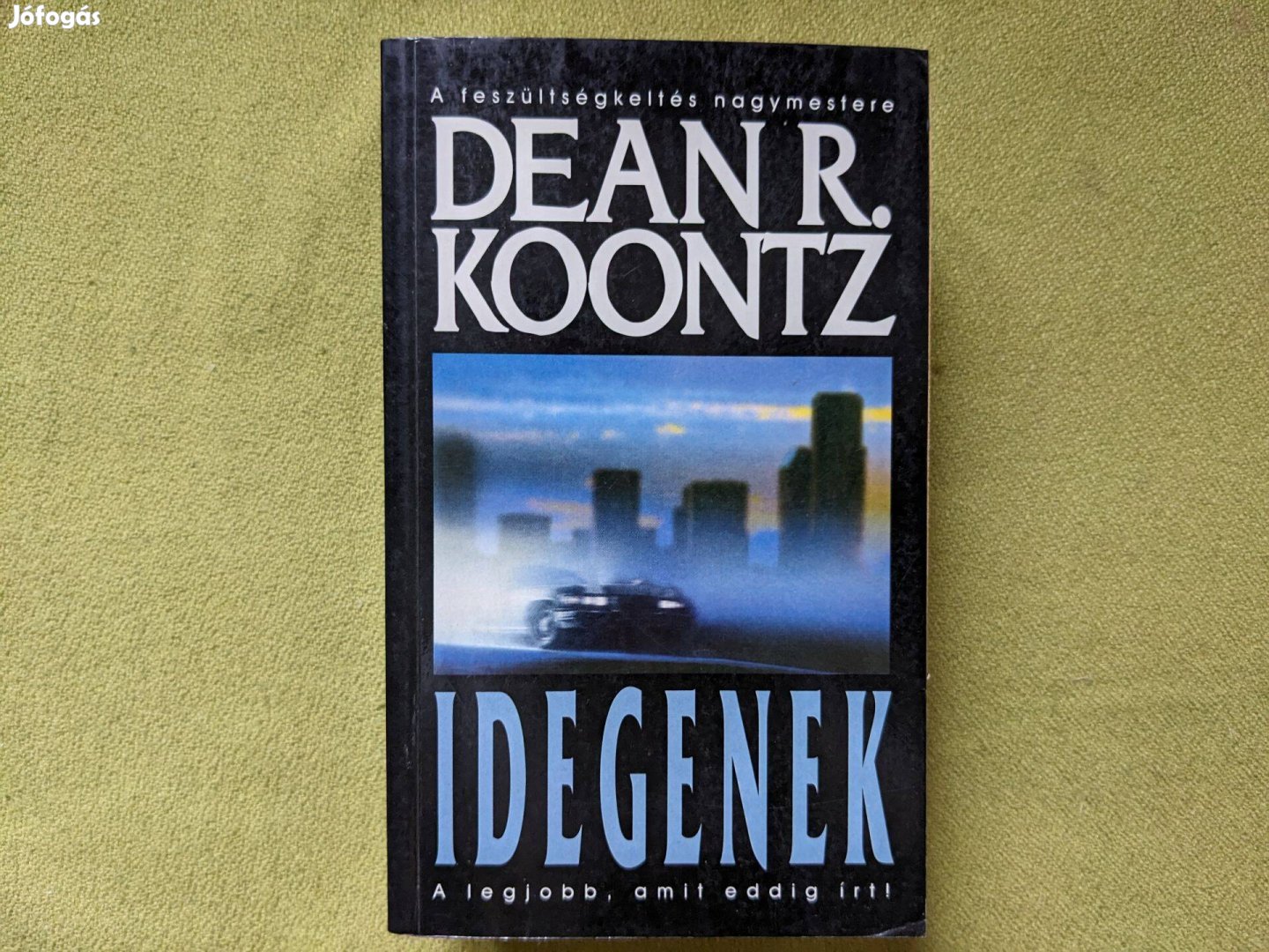 Dean Koontz: Idegenek