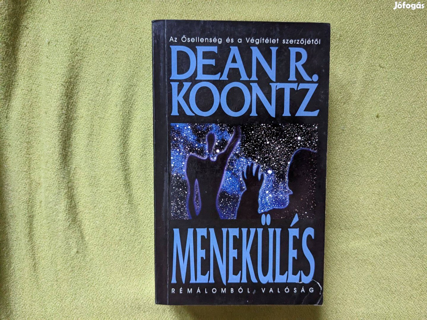 Dean Koontz: Menekülés