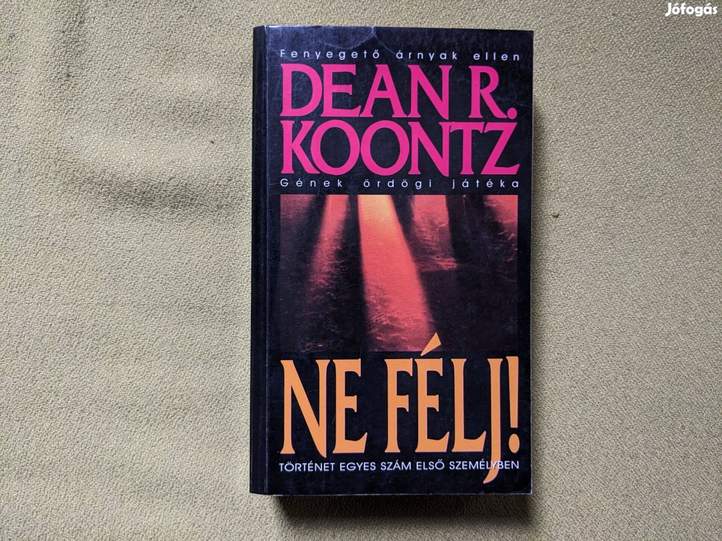 Dean Koontz: Ne félj!