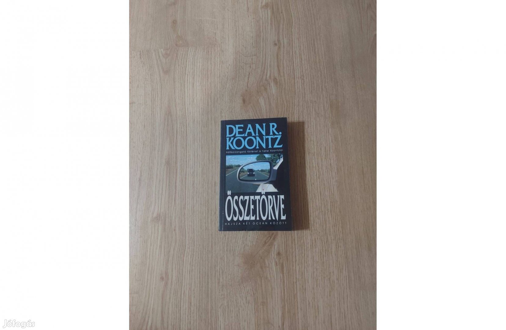 Dean R. Koontz: Összetörve