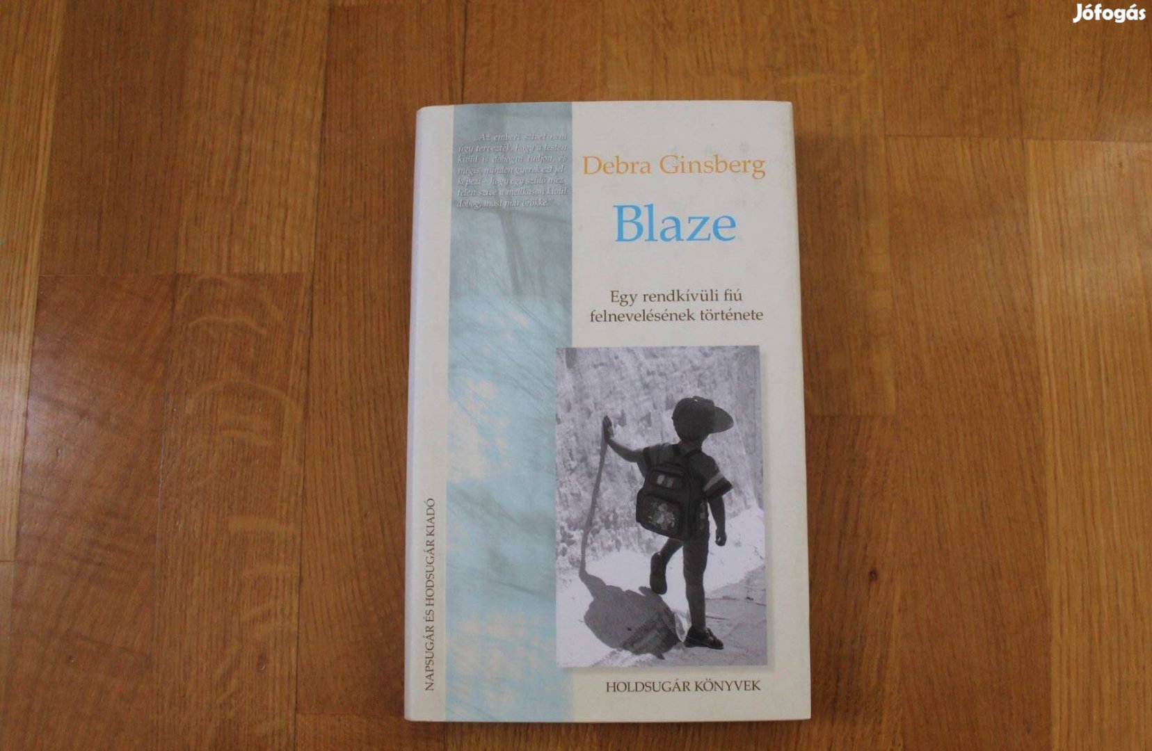 Debra Ginsberg - Blaze