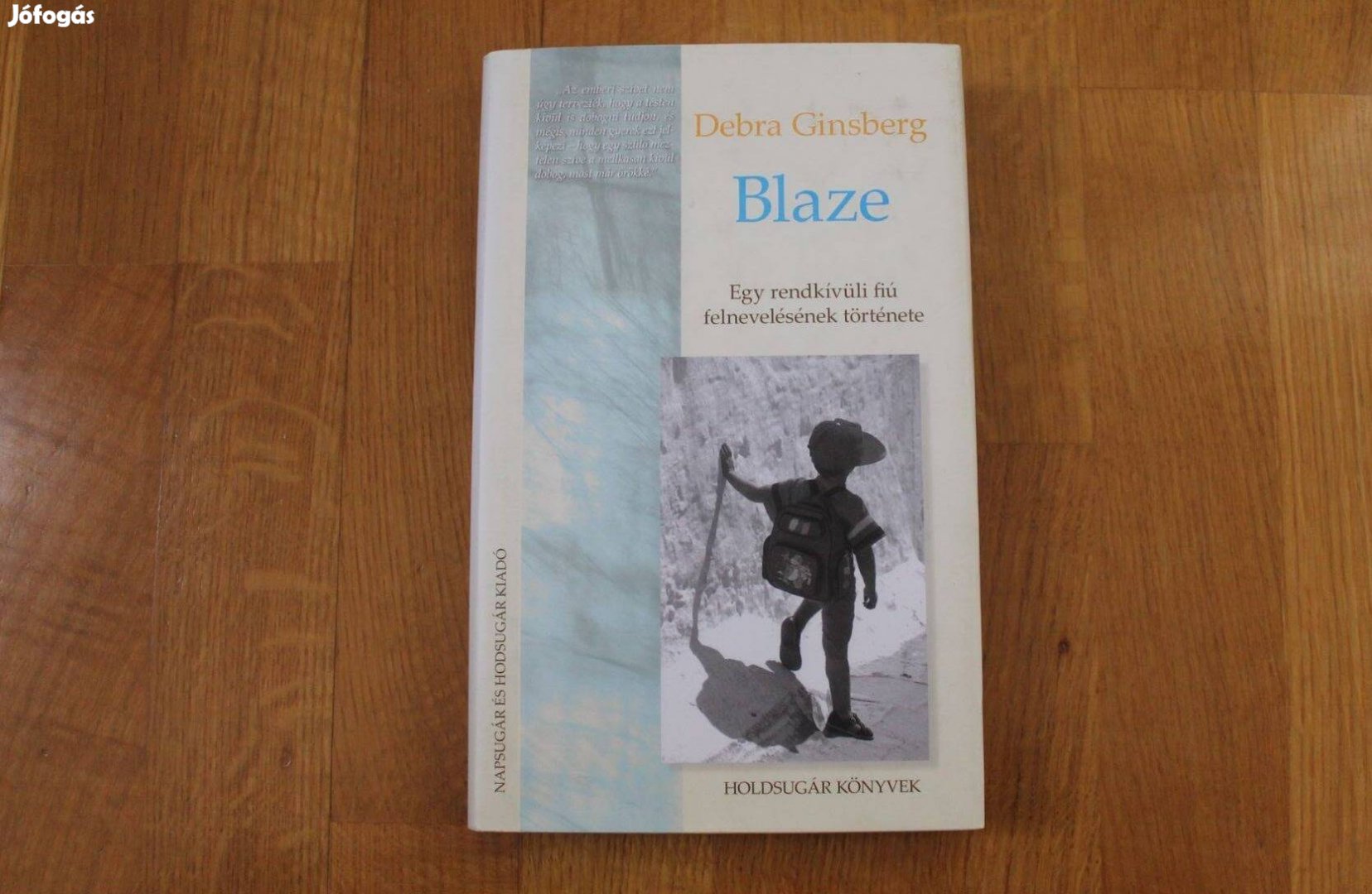 Debra Ginsberg - Blaze