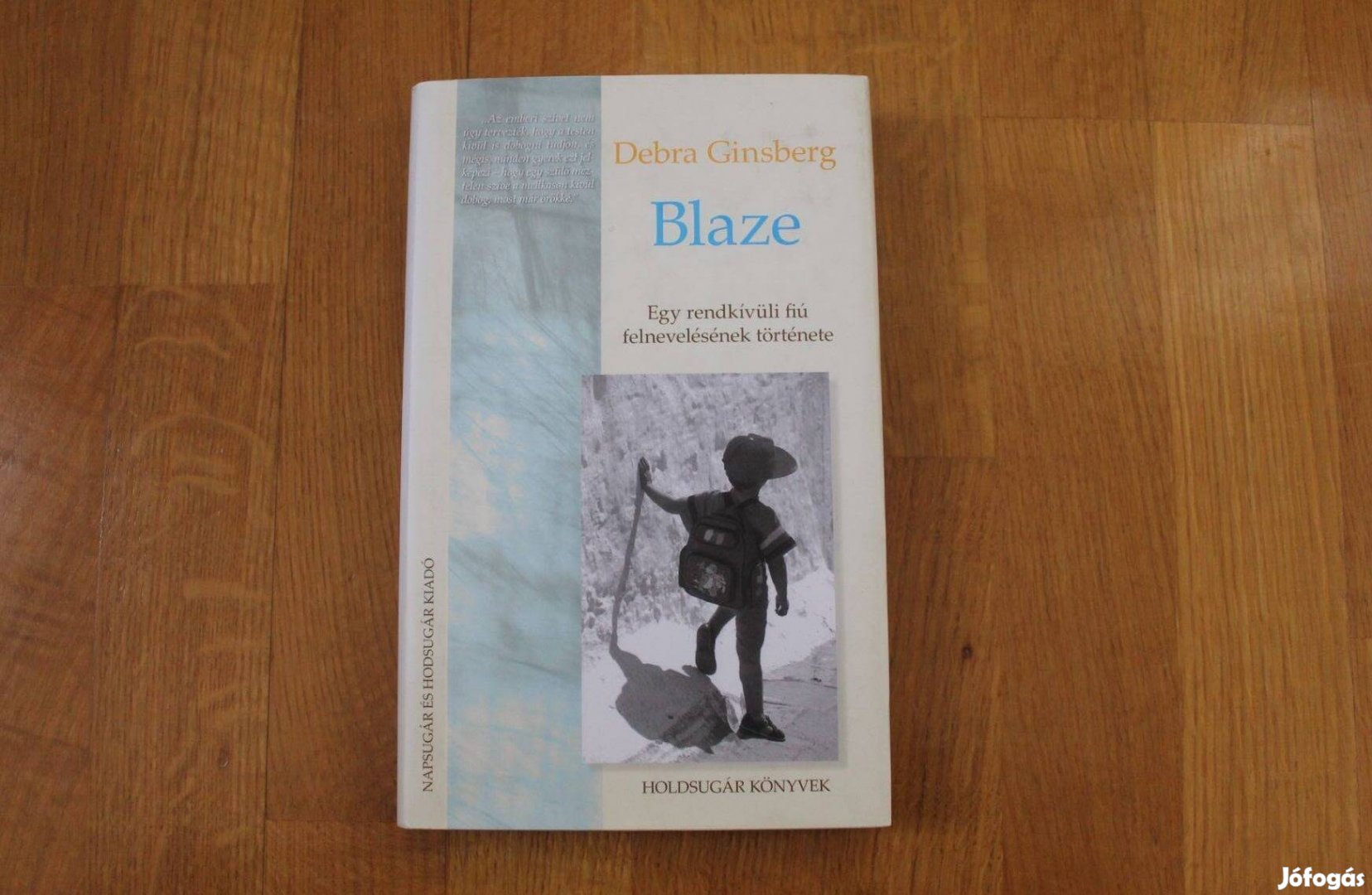 Debra Ginsberg - Blaze