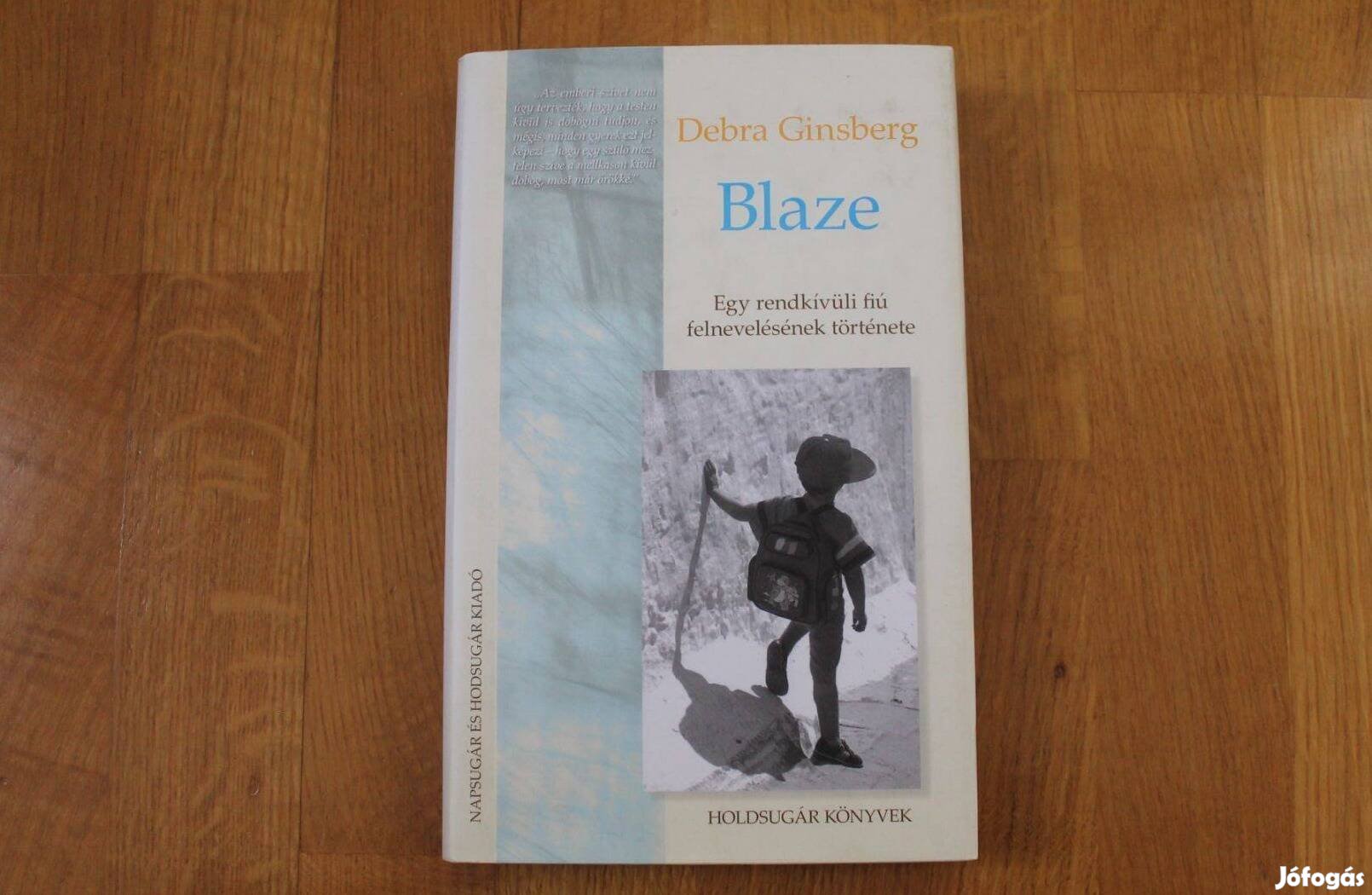 Debra Ginsberg - Blaze