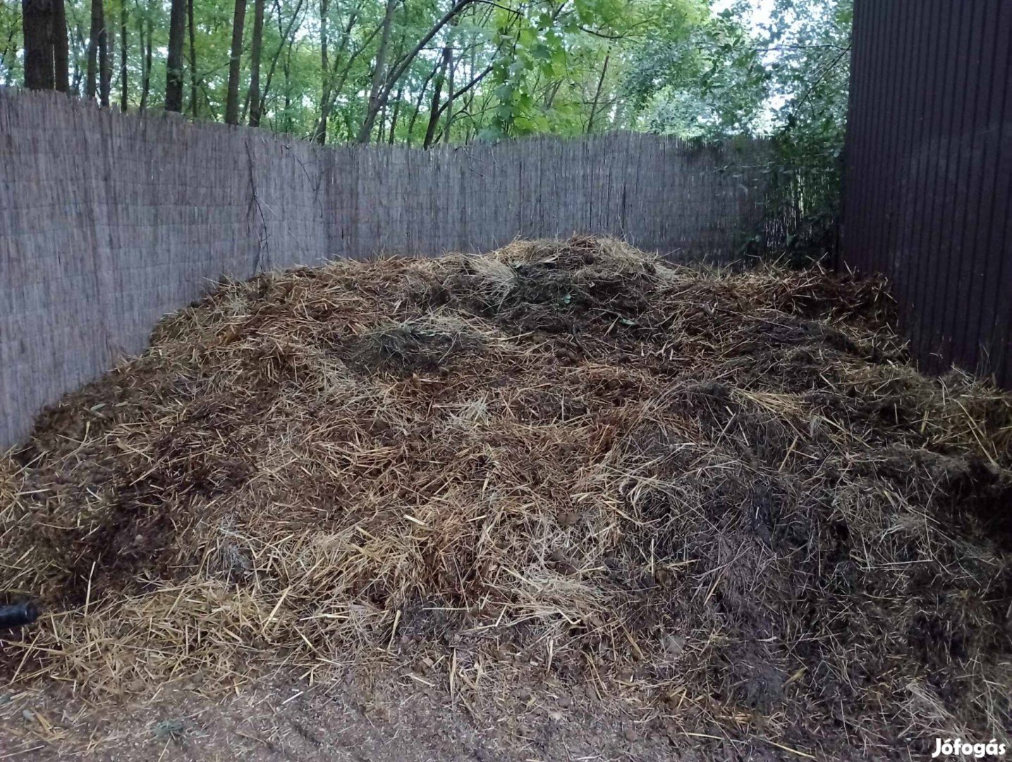 Debrecenhez közeli helyről szalmás lótrágya azonnal elvihető