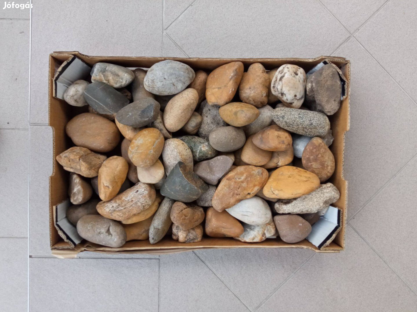 Dekor mosott kavics ( kerti növény dísz kő )