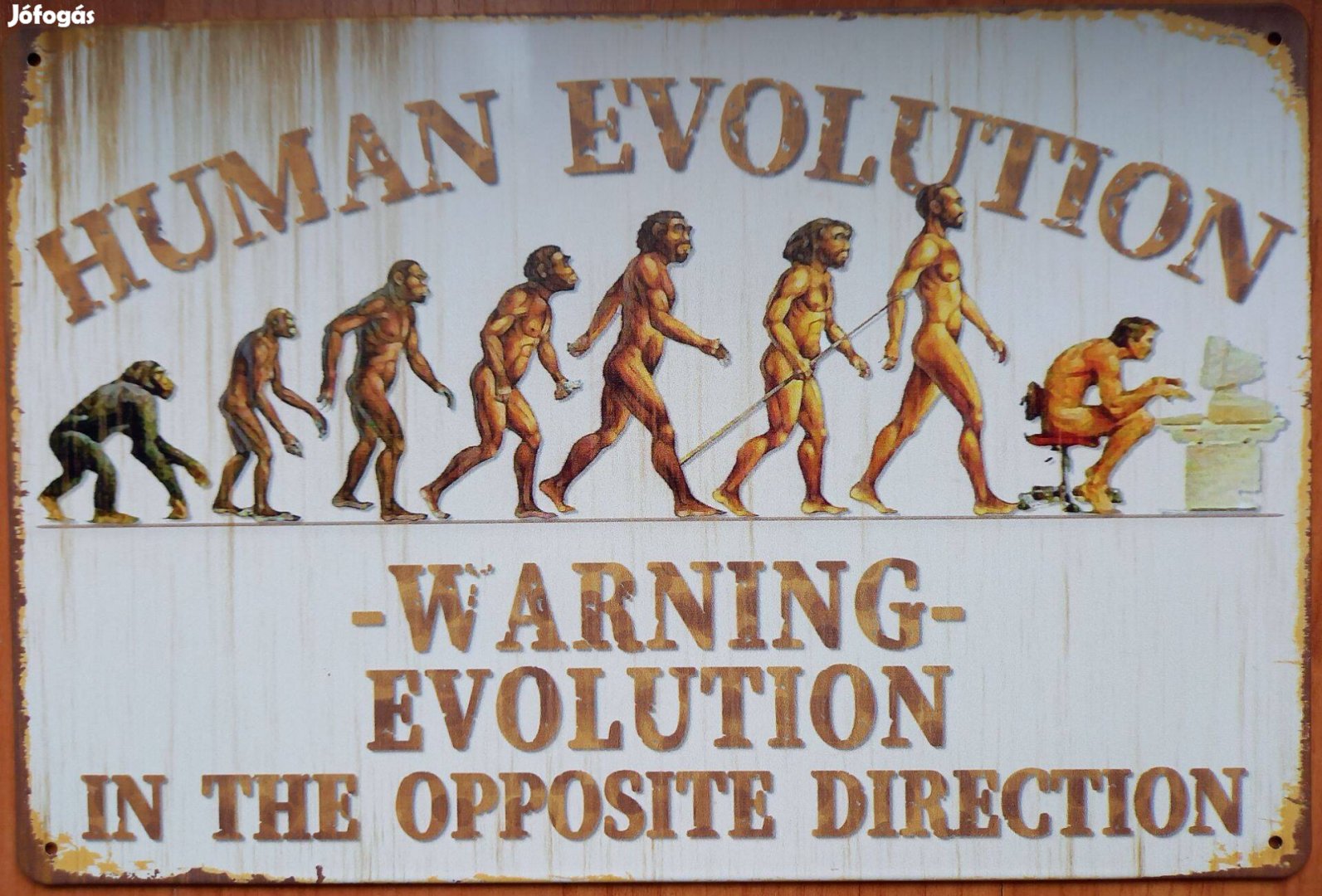 Dekorációs fém tábla Az Emberi Evolúció