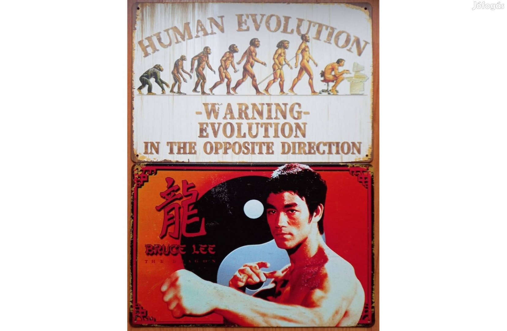 Dekorációs fém tábla (Az Emberi Evolúció - Bruce Lee The Dragon)