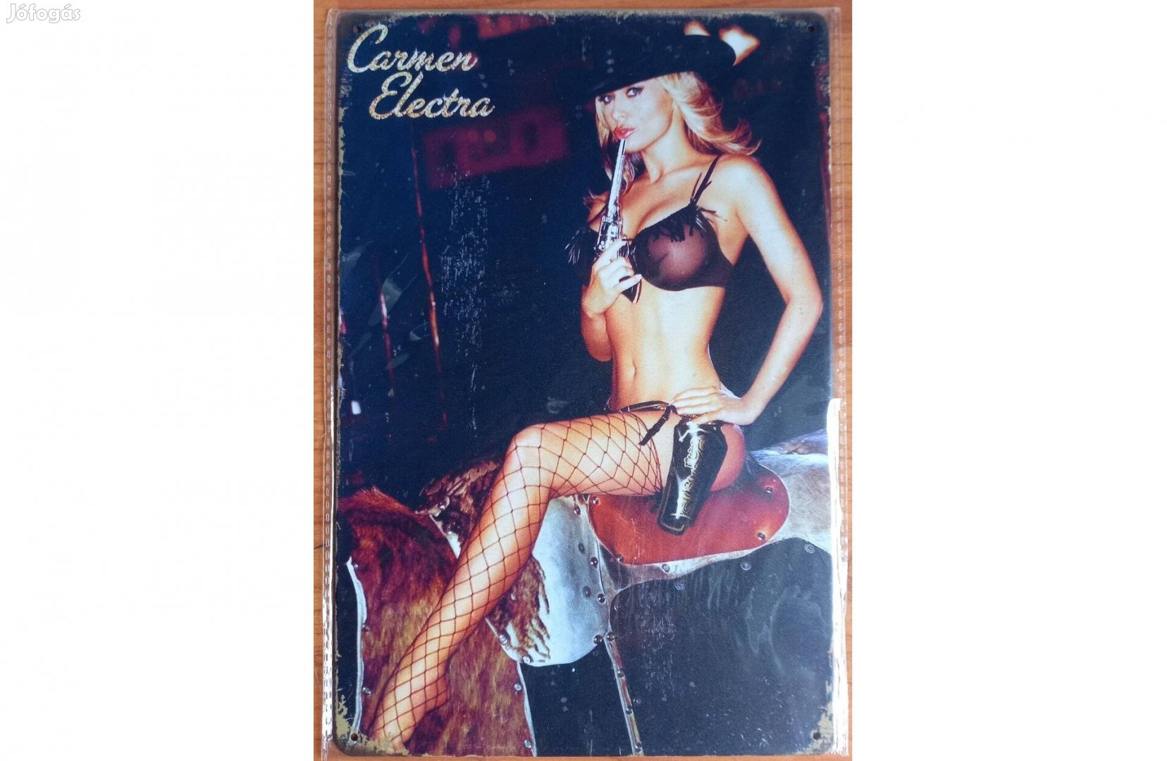 Dekorációs fém tábla (Carmen Electra)
