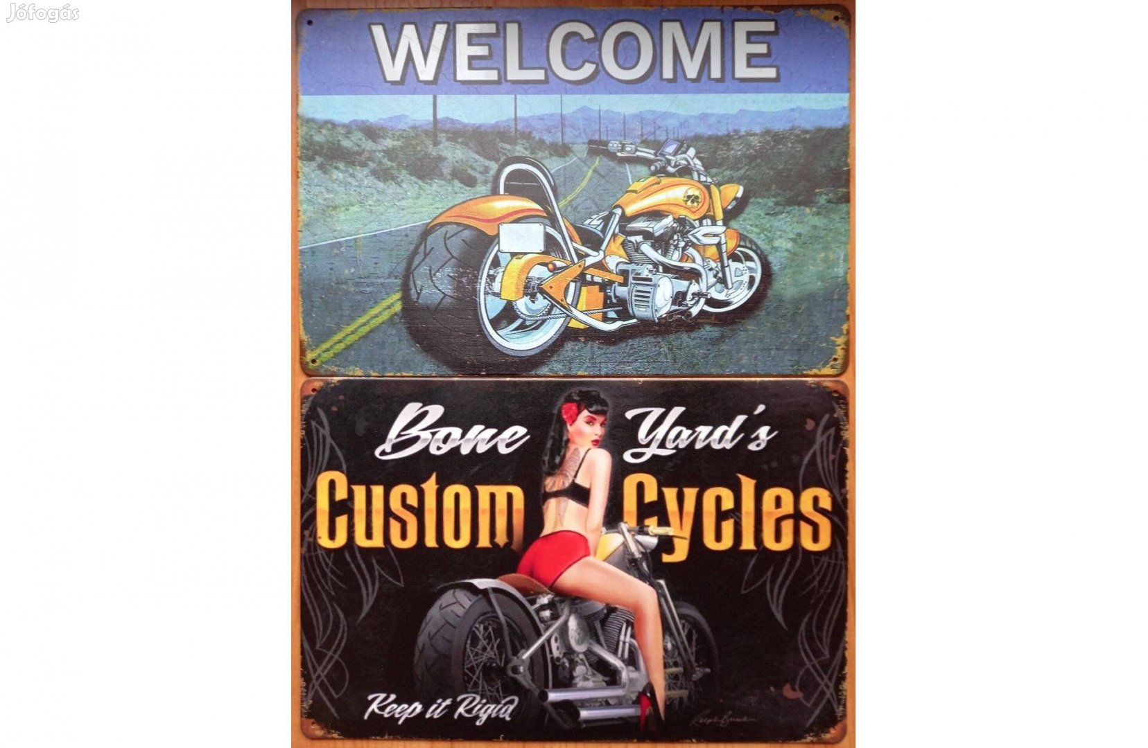 Dekorációs fém tábla (Motor Cycles -PIM-UP Girls )