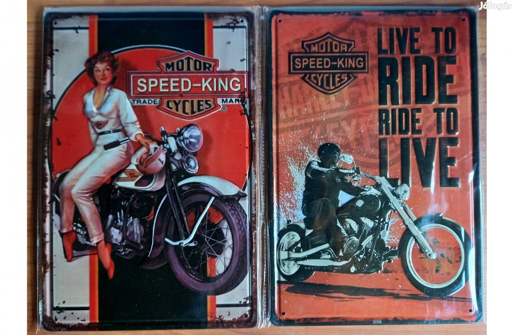 Dekorációs fém tábla (Motor Cycles )