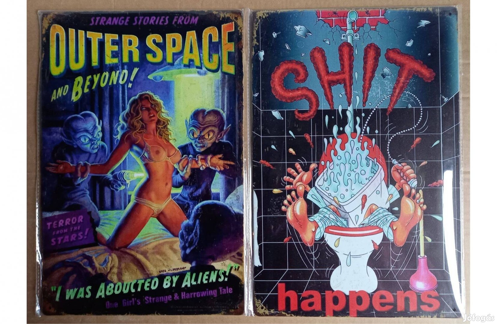 Dekorációs fém tábla Örült Tudomyány - Toilet Humor