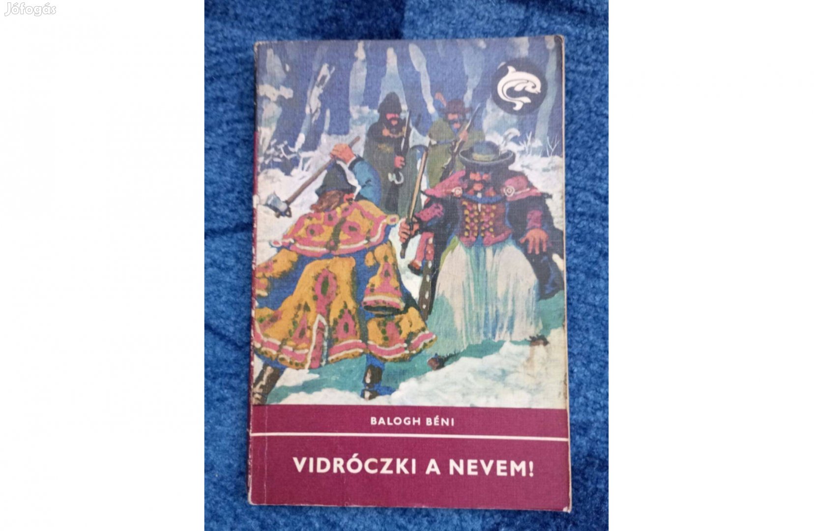 Delfin könyv: Balogh Béni: Vidróczki a nevem!