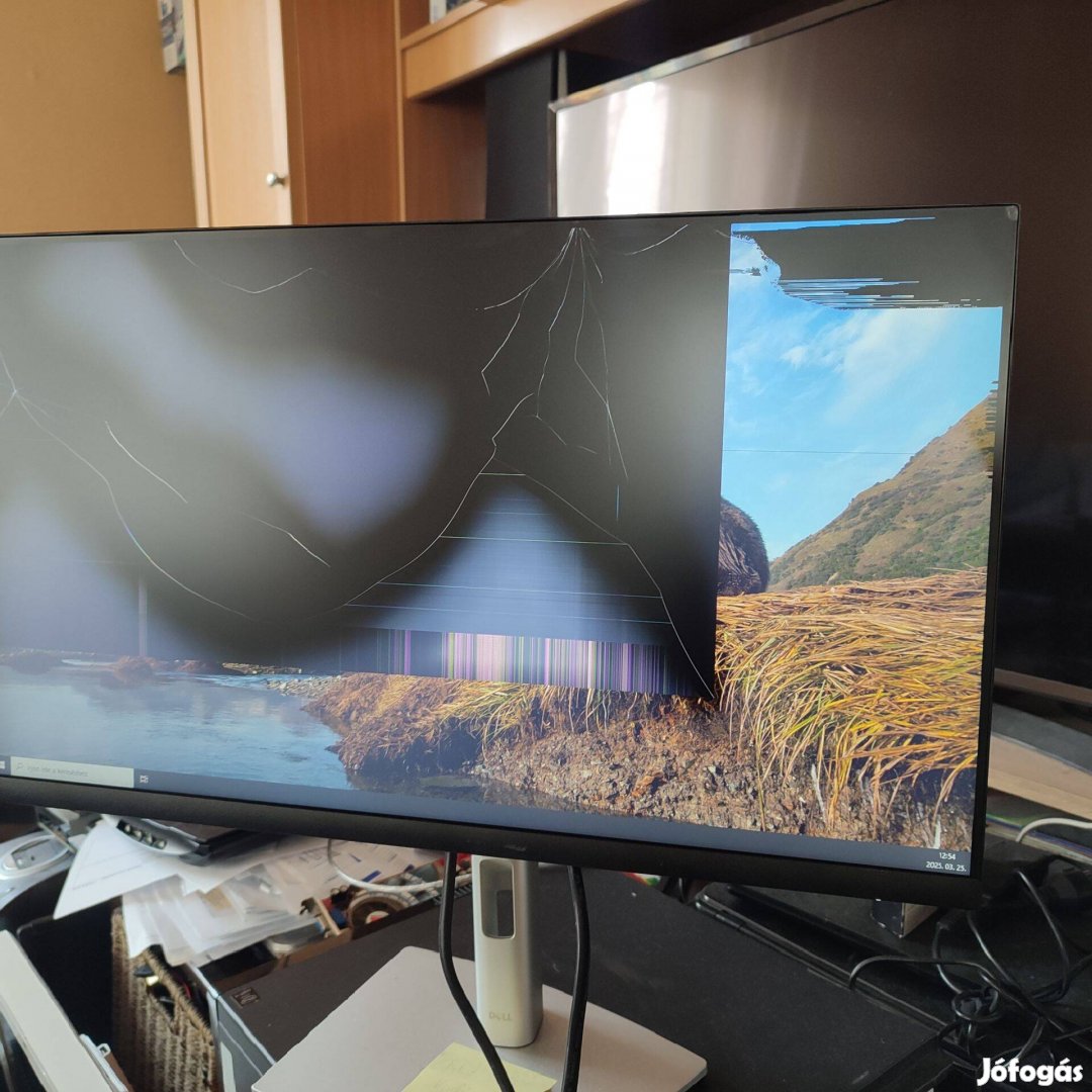 Dell 24" monitor P2422HE Fullhd 1920x1080