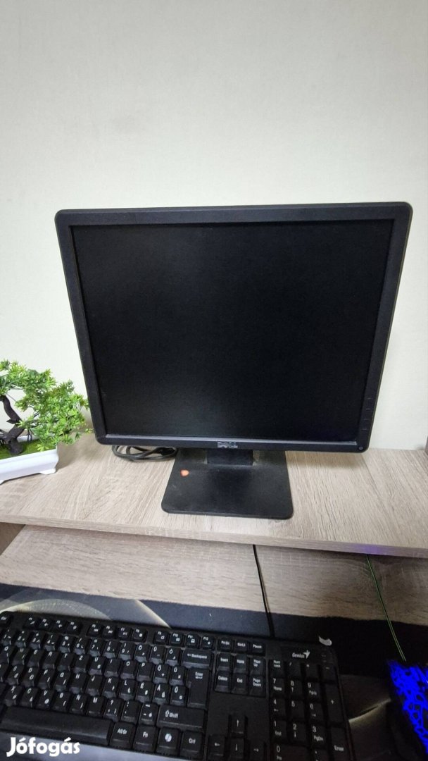 Dell E1715S Monitor