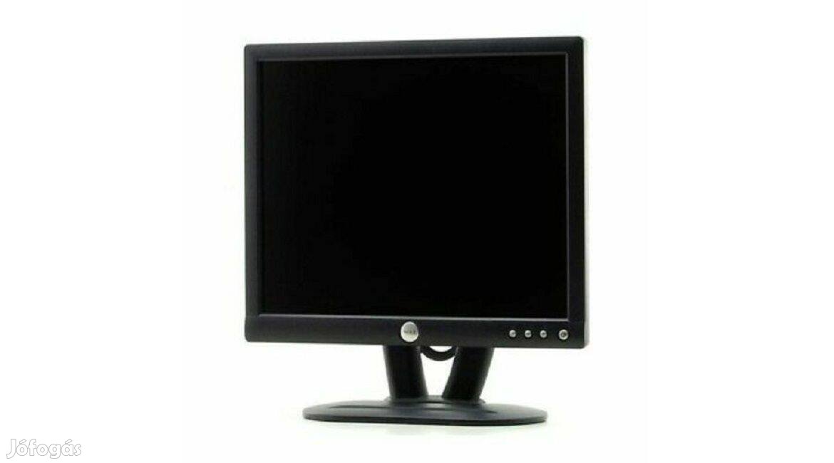 Dell E173Fpb 17" LCD monitor