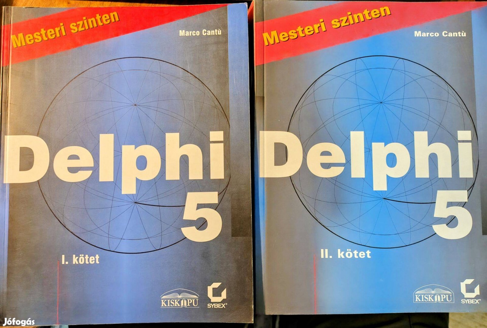 Delphi 5 Mesteri szinten (könyv)