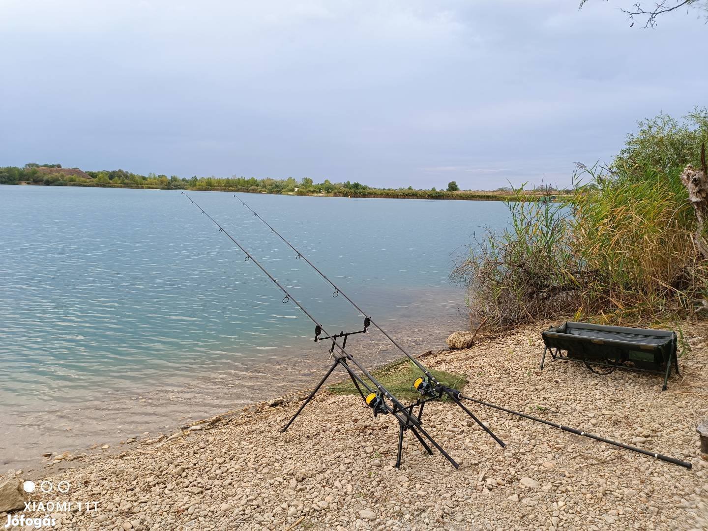 Delphin Rpx4 rodpod 3 botos kivitel 