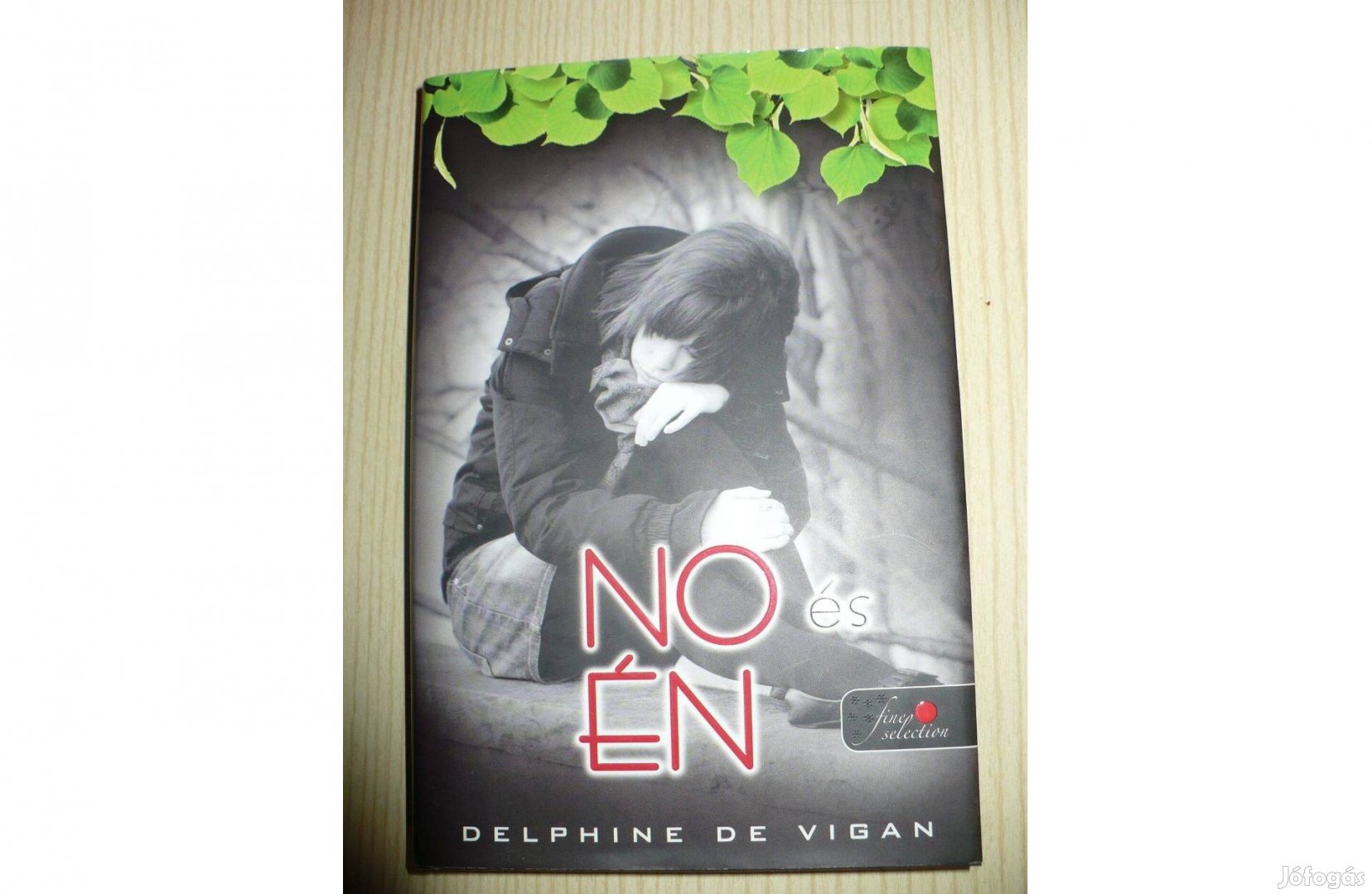 Delphine de Vigan: No és én