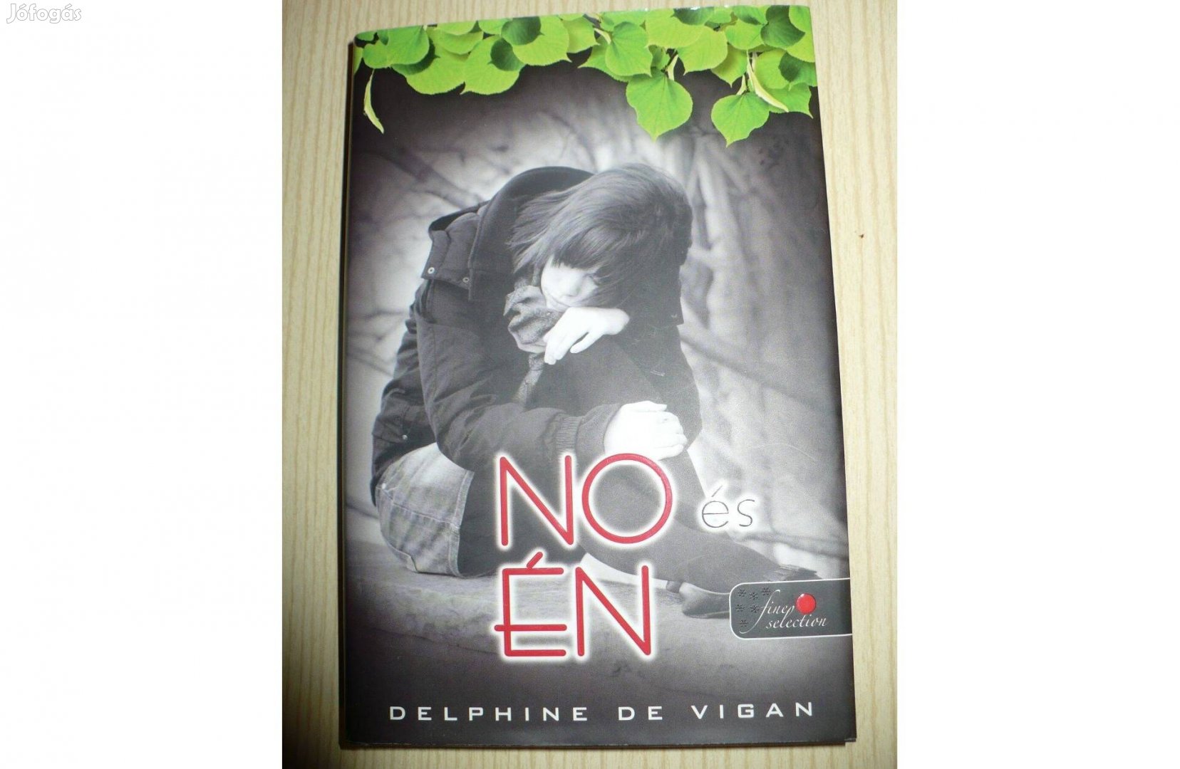 Delphine de Vigan: No és én