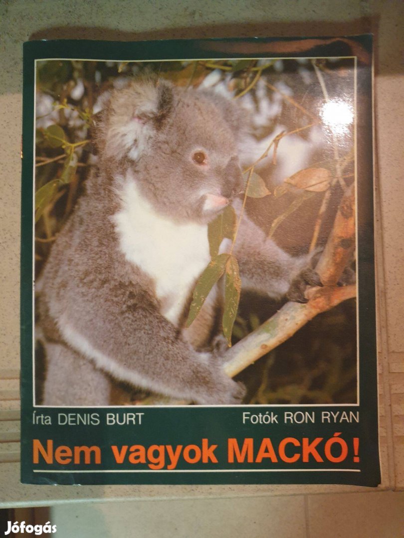 Denis Brut - Nem vagyok mackó / Koala vagyok