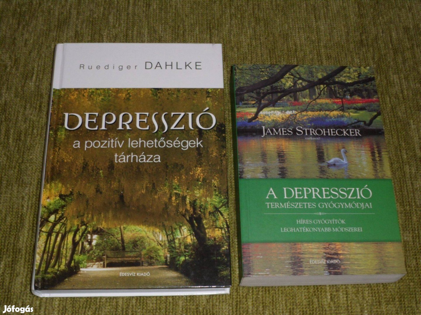 Depresszió - A pozitív lehetőségek tárháza + A depresszió természetes