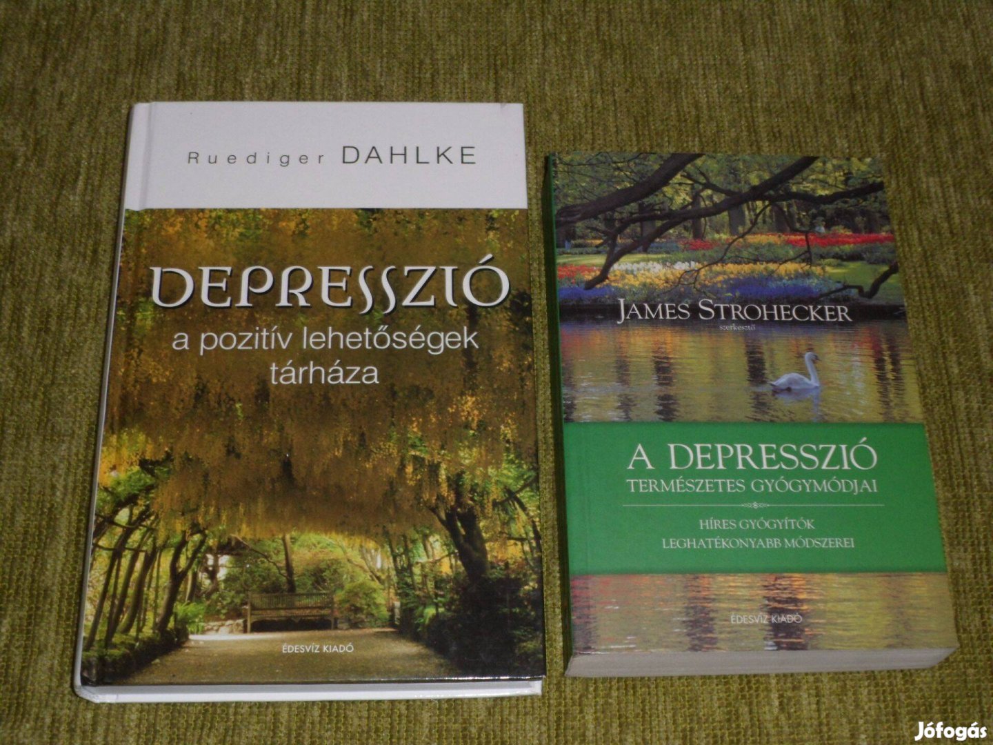 Depresszió - A pozitív lehetőségek tárháza + A depresszió természetes