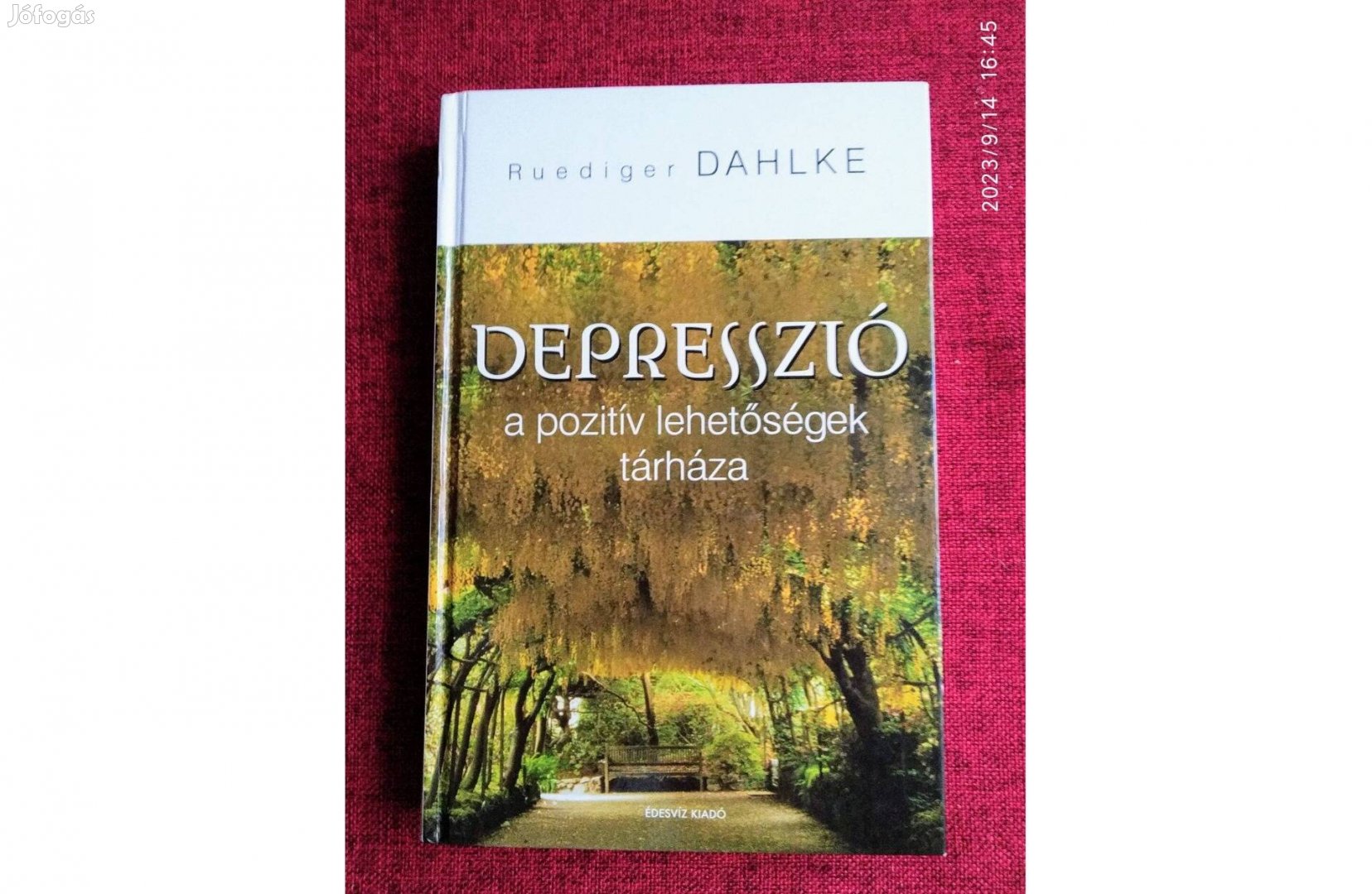 Depresszió - a pozitív lehetőségek tárháza Ruediger Dahlke Édesvíz Kia