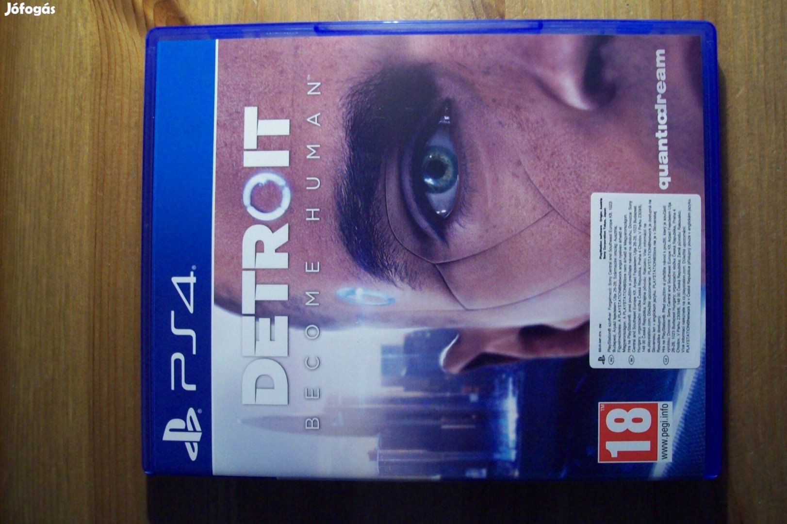 Detroit Become Human PS 4 Játék