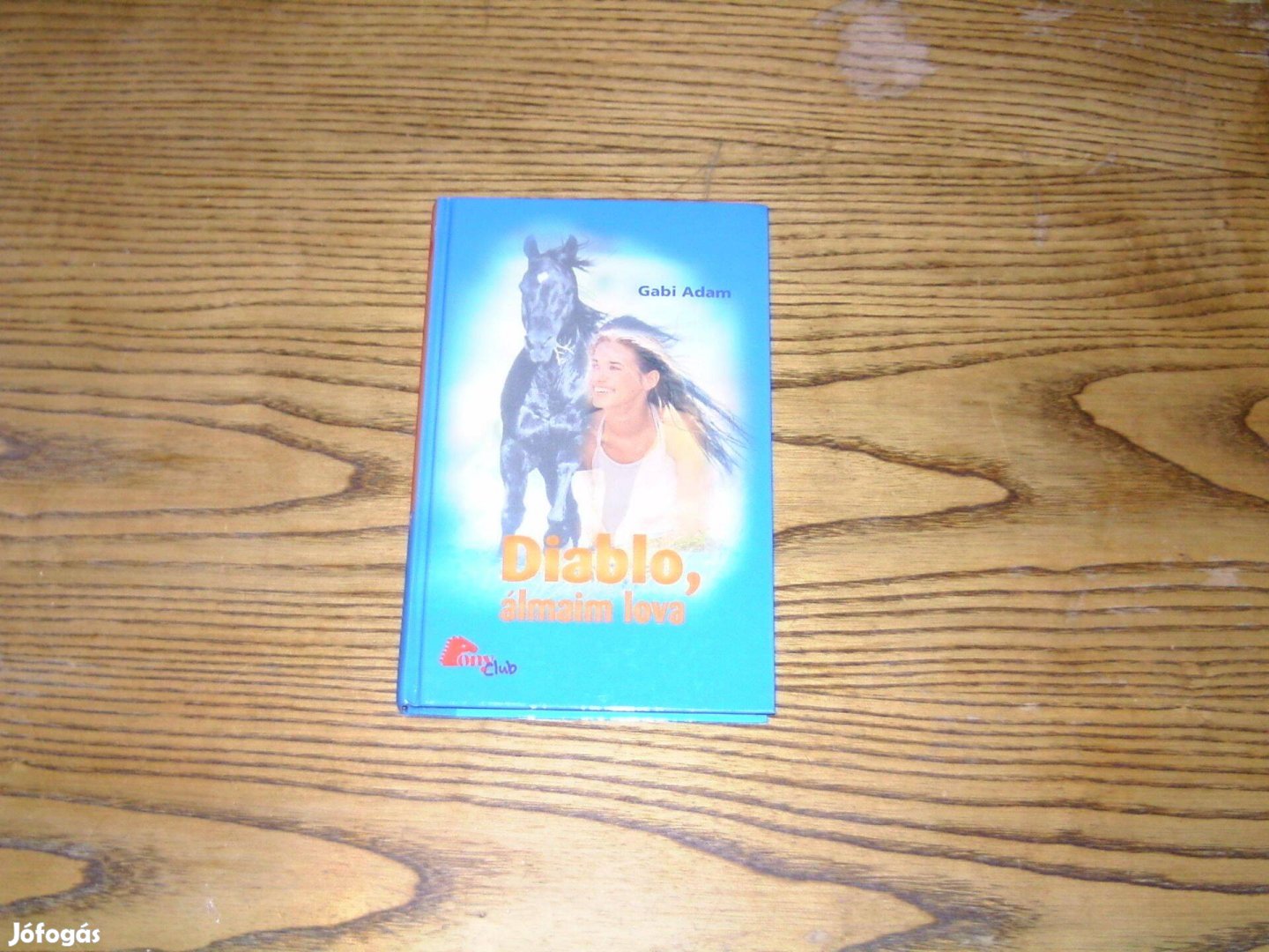 Diablo, álmaim lova c. könyv