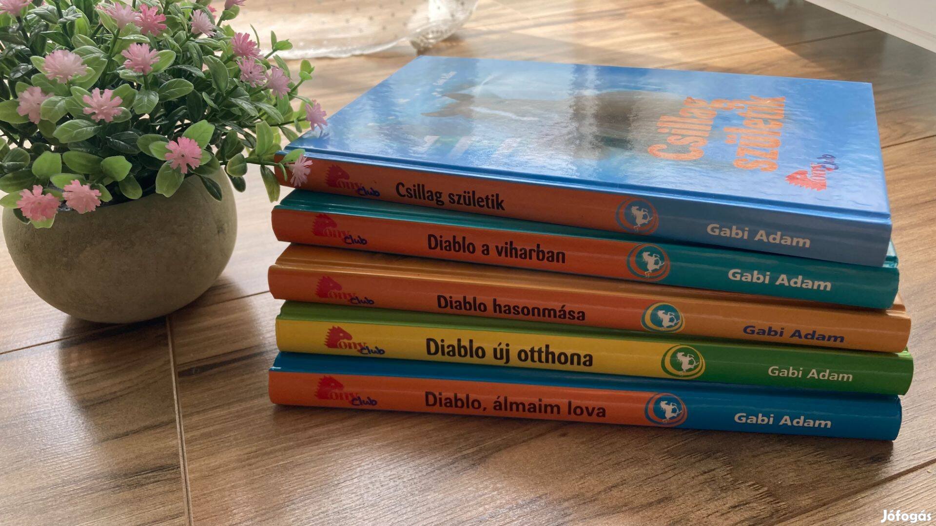 Diablo lovas könyvcsomag