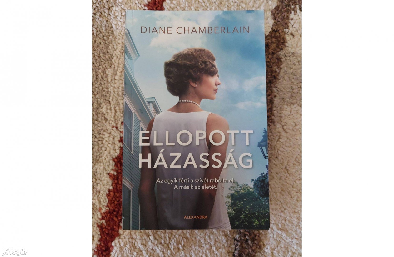 Diana Chamberlain : Ellopott házasság