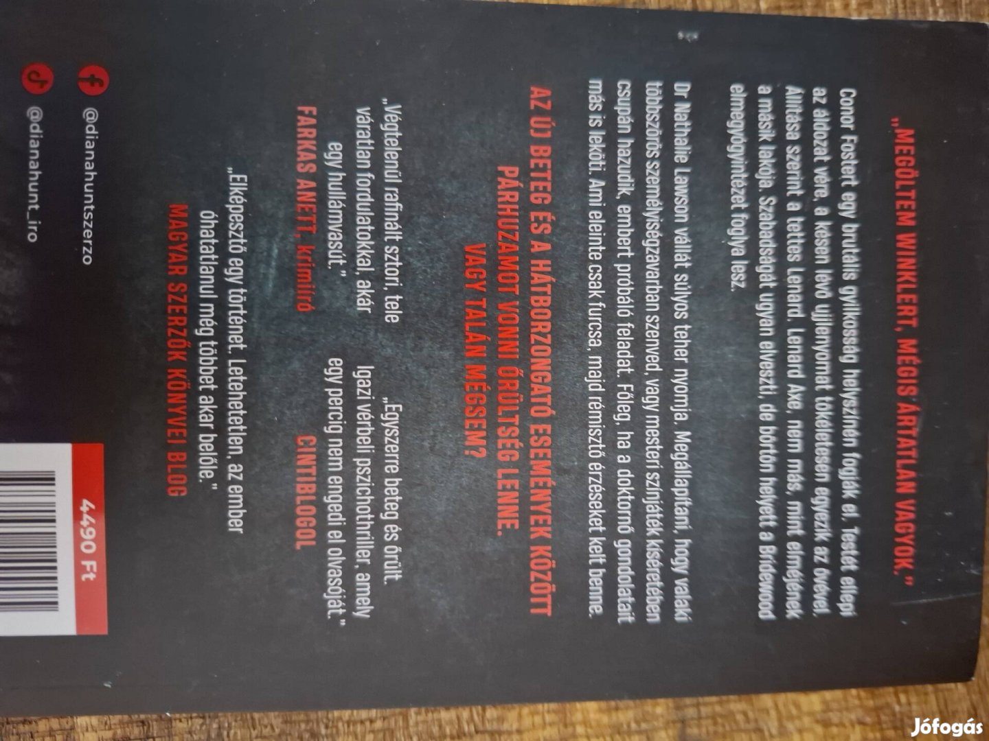 Diana Hunt Őrületbe kergetsz regény