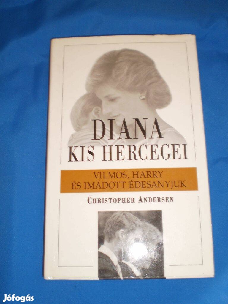 Diana kis hercegei ( Vilmos , Harry és imádott édesanyjuk )